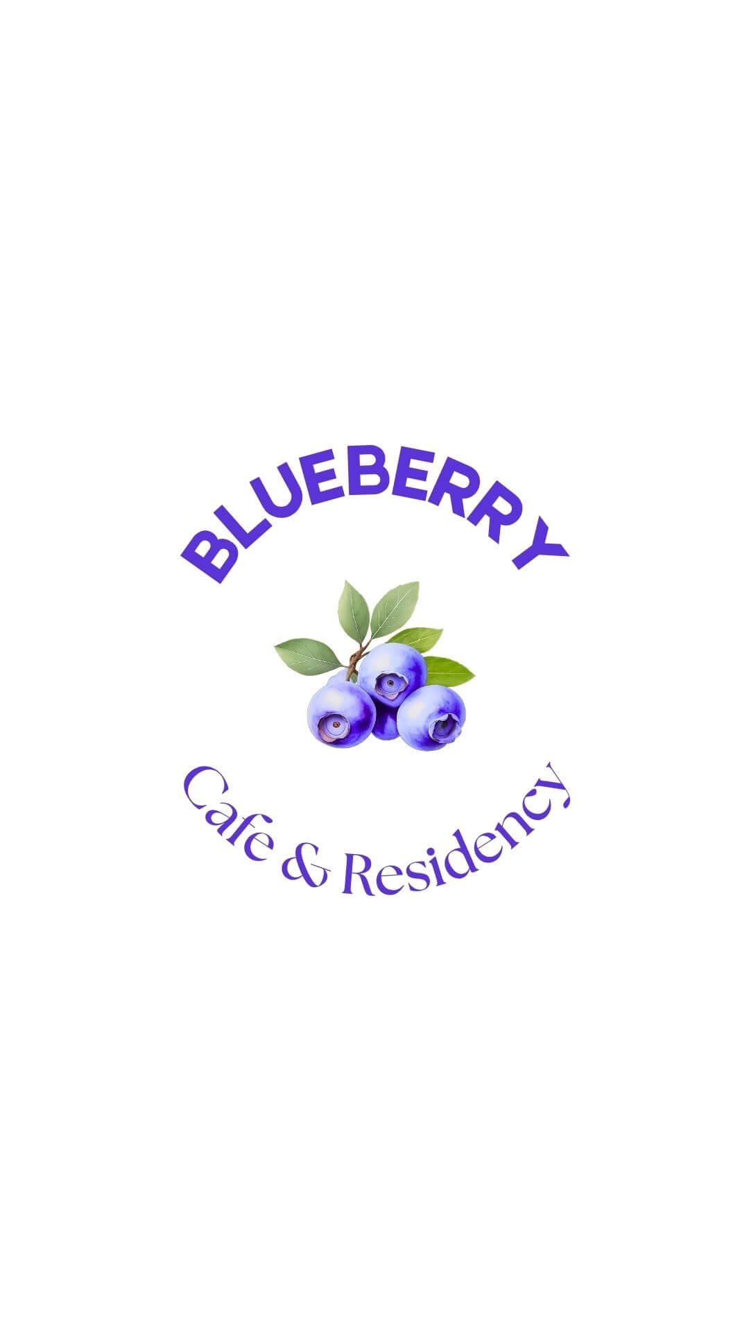 Blueberry brand identity - logo presentation