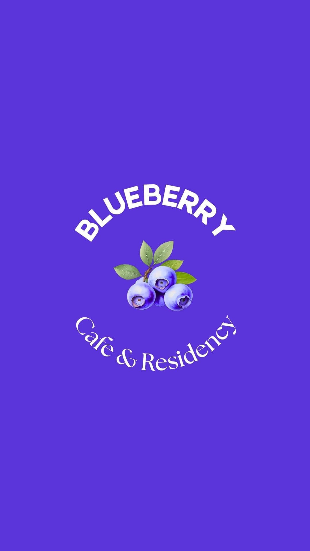 Blueberry brand colors and typography