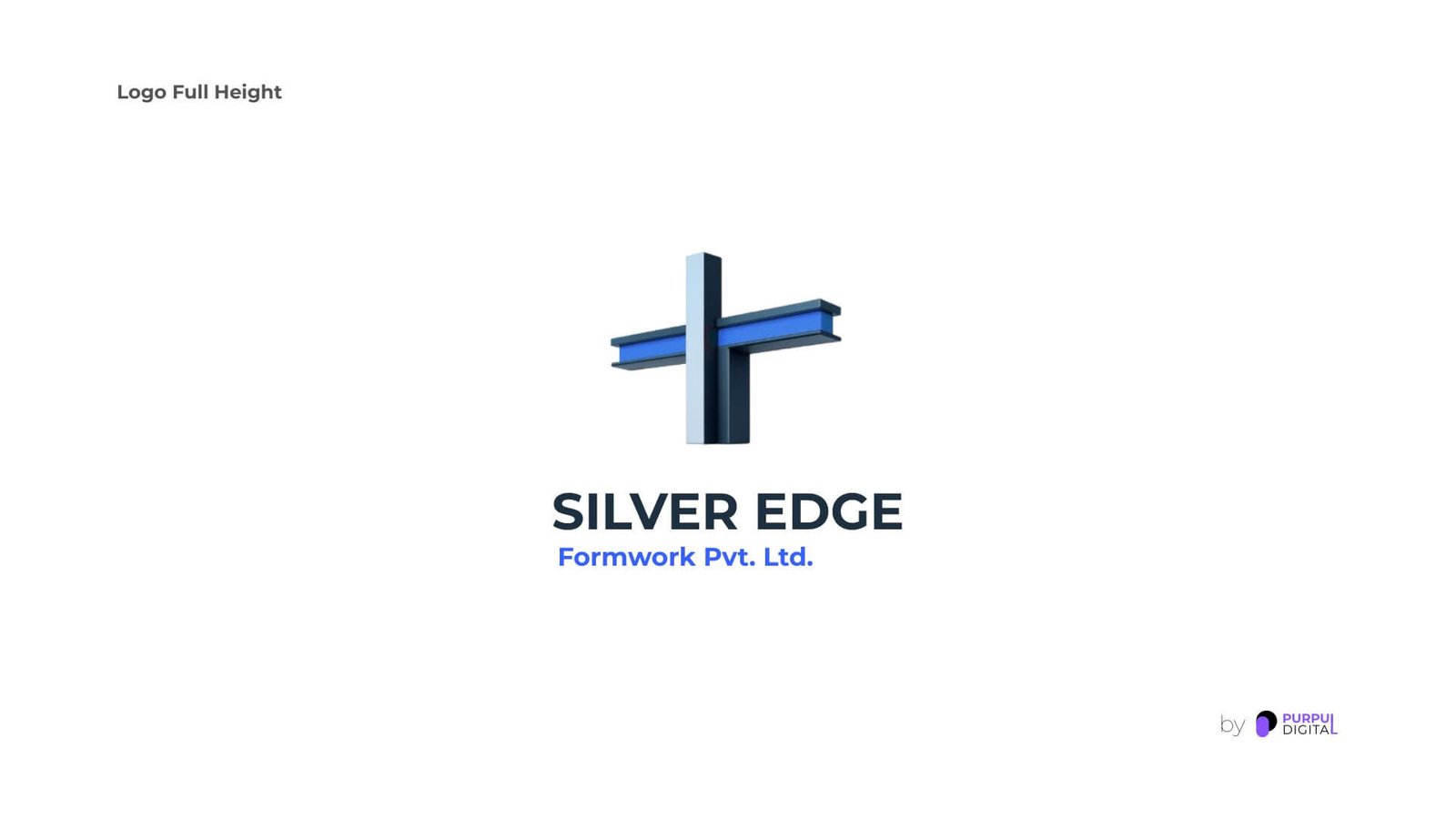 SilverEdge logo variations